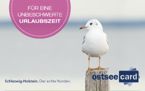 ostseeCard-Online-Meldescheine